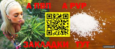spice Кингисепп