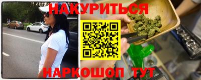 spice Кингисепп