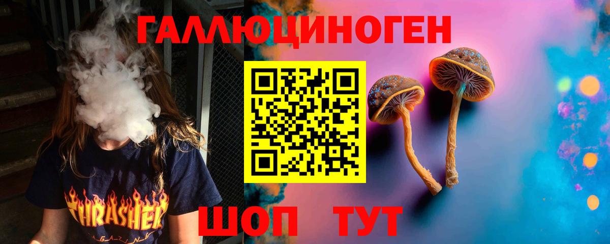 Коряжма  магазин  наркотиков  Псилоцибиновые грибы Psilocybine cubensis  Вход с VPN  Псилоцибиновые грибы ЛСД 
