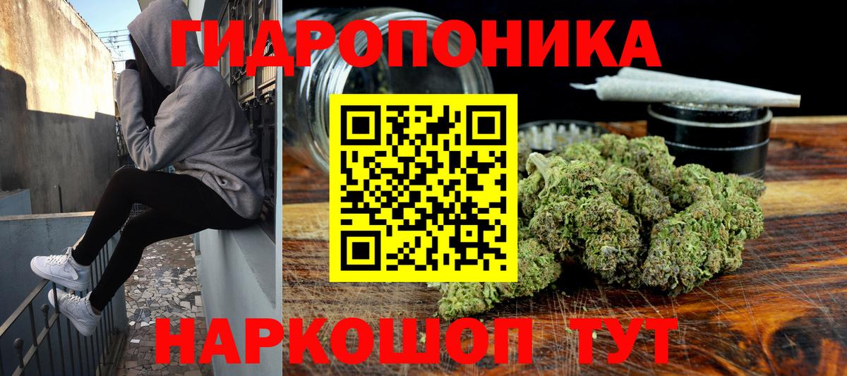 Канабис тримм  Вход с VPN  Марихуана THC 21%  Коряжма  Бошки Шишки LSD WEED 
